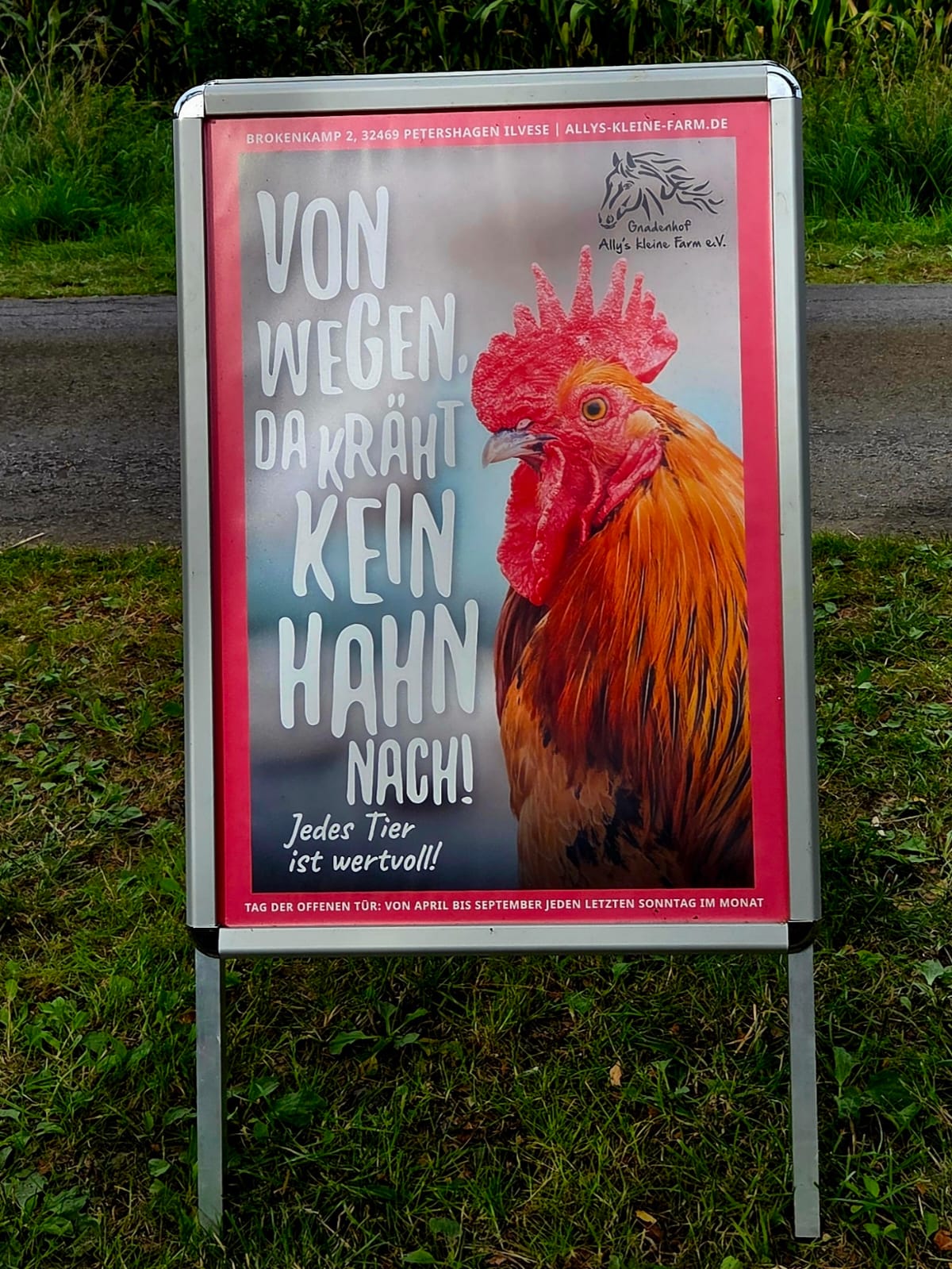 Eindruck vom Tag der offenen Tür auf Ally’s kleiner Farm 4
