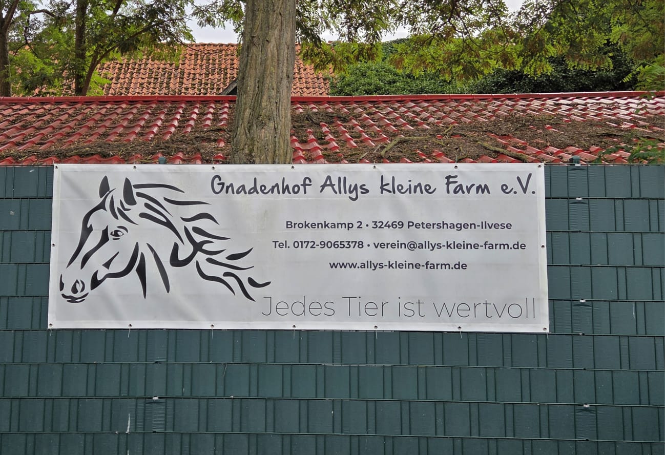 Eindruck vom Tag der offenen Tür auf Ally’s kleiner Farm 6