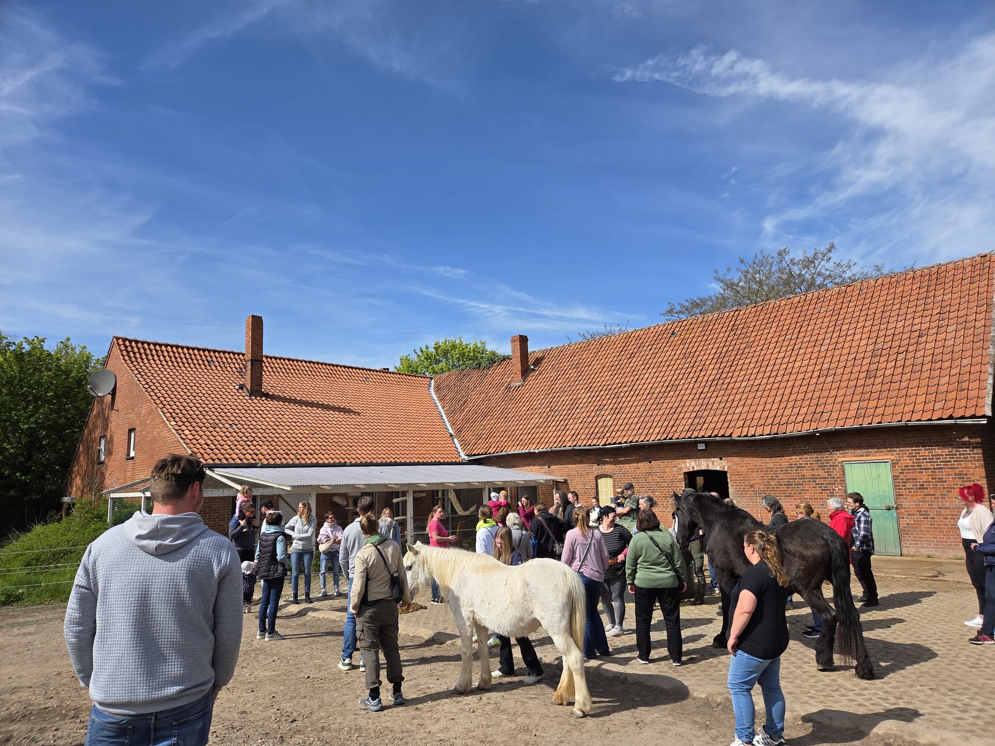 Eindruck vom Tag der offenen Tür auf Ally’s kleiner Farm 20